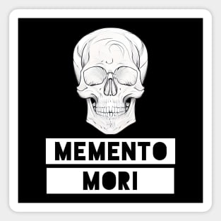 Memento Mori Skull Symbolic Trope Magnet